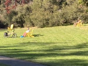 Yellow chairs in Golden Gate Park on JFK Drive.