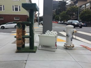 Cat Tree next to a fire hydrant in San Francisco.