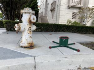 Christmas tree stand next to a fire hydrant in San Francisco.