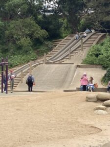 Concrete slides in the Koret Playground in Golden Gate Park