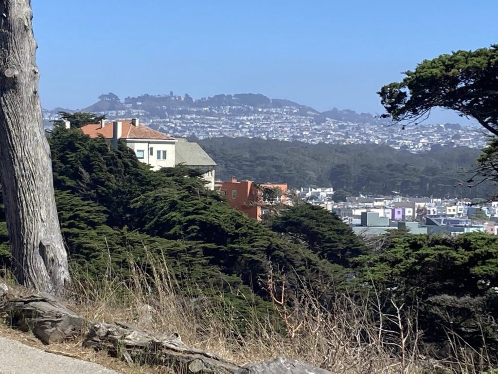 Golden Gate Heights from Sutro Heights